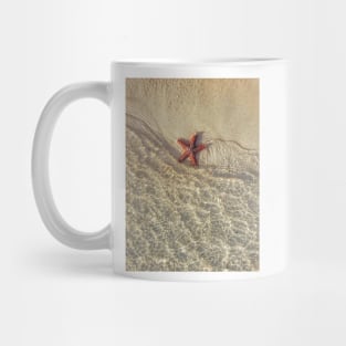 Star Fish Mug